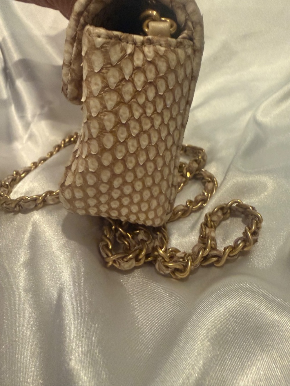 Chanel Python mini flap bag - Picture 5 of 15